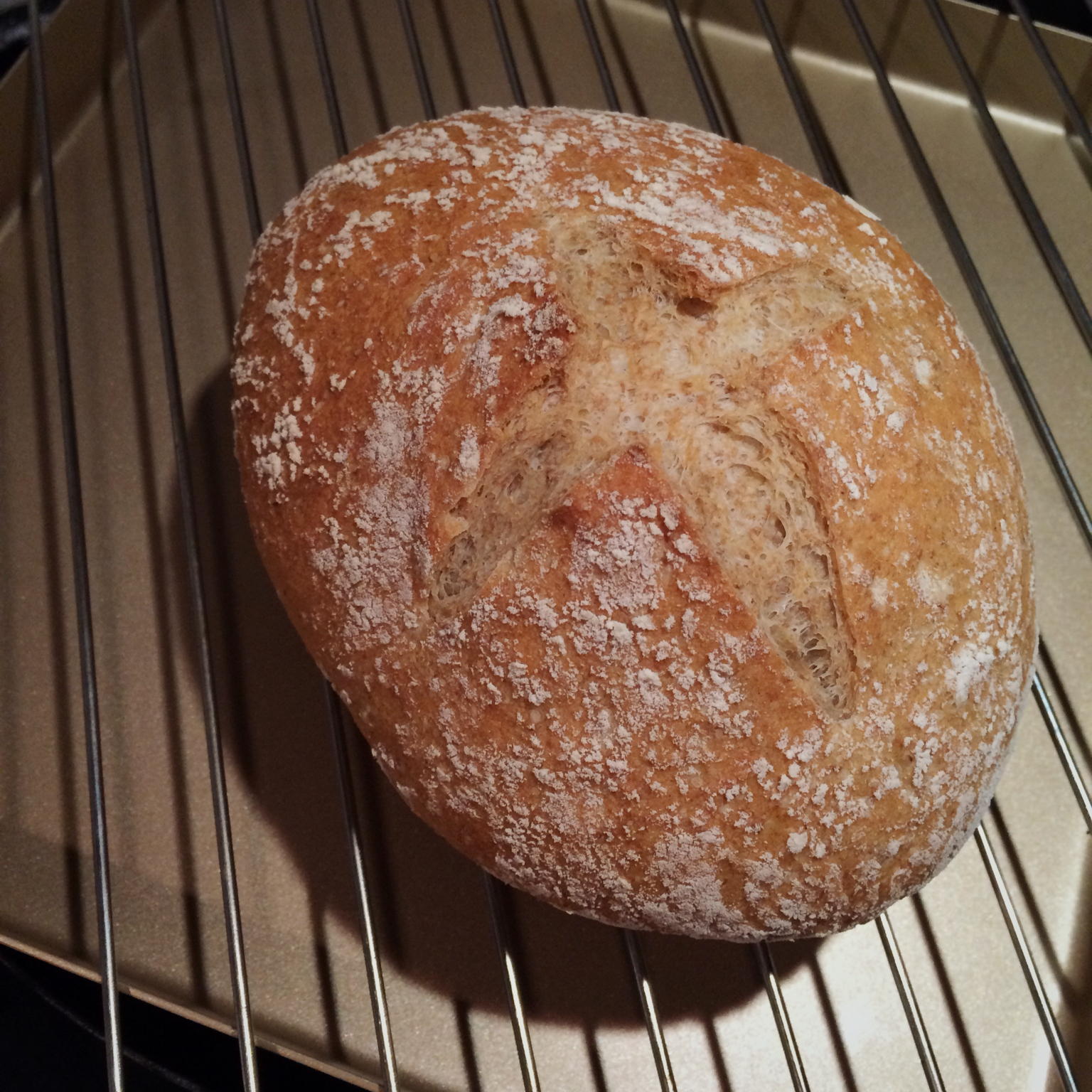 欧包/乡村面包-无油不用揉 No Knead Bread