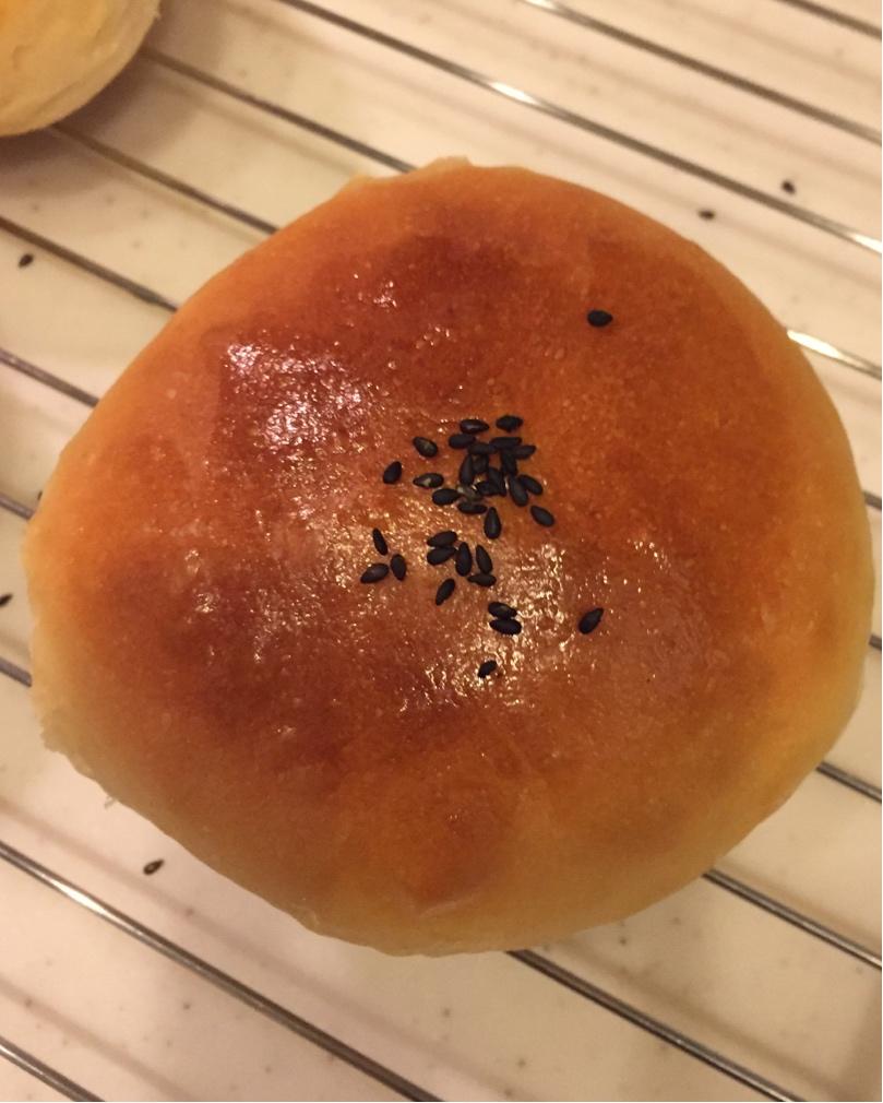 汉堡胚（中种法）
