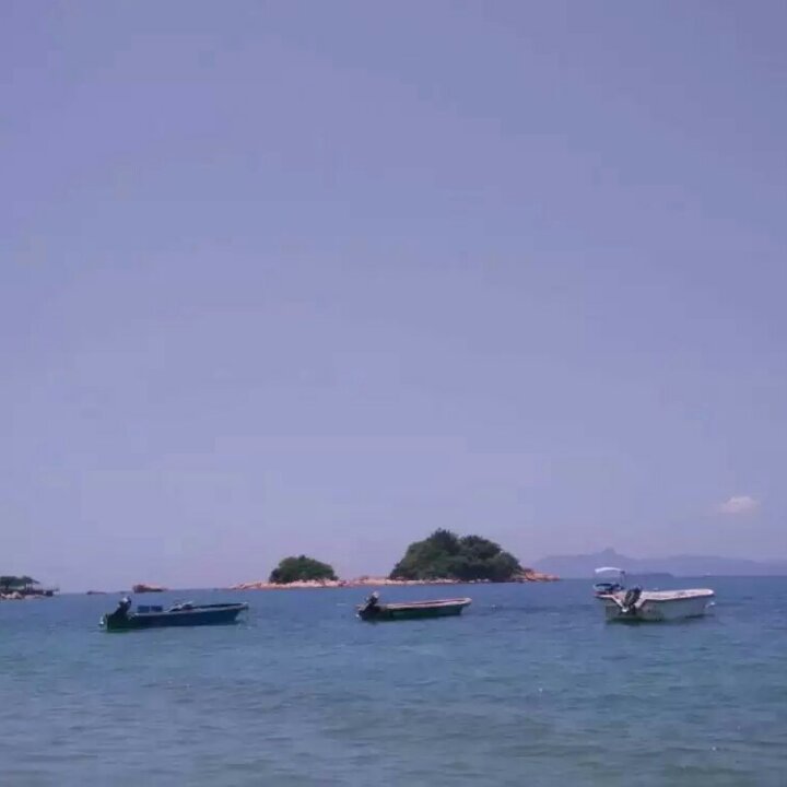 我就系懒