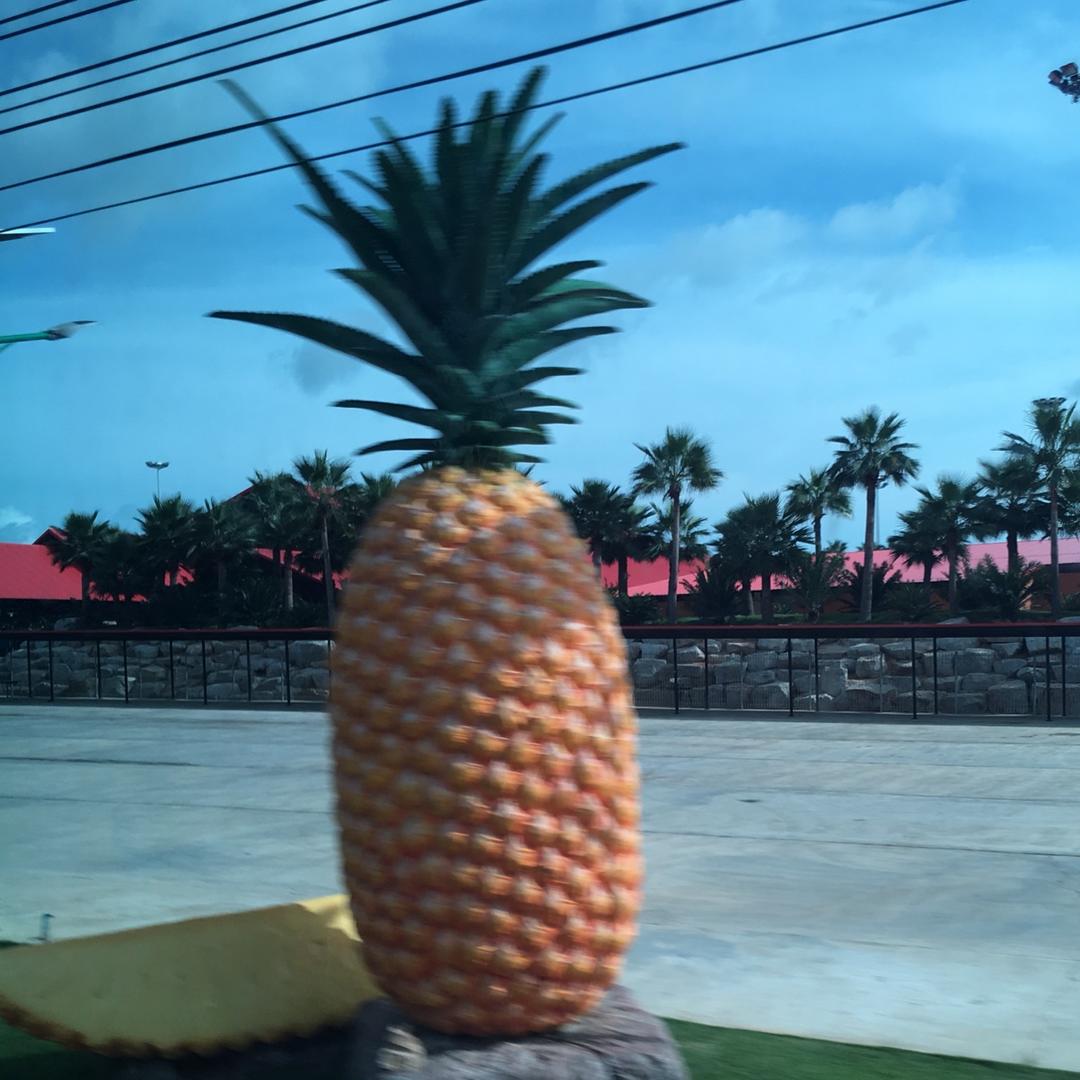 我就是雪硕果累累