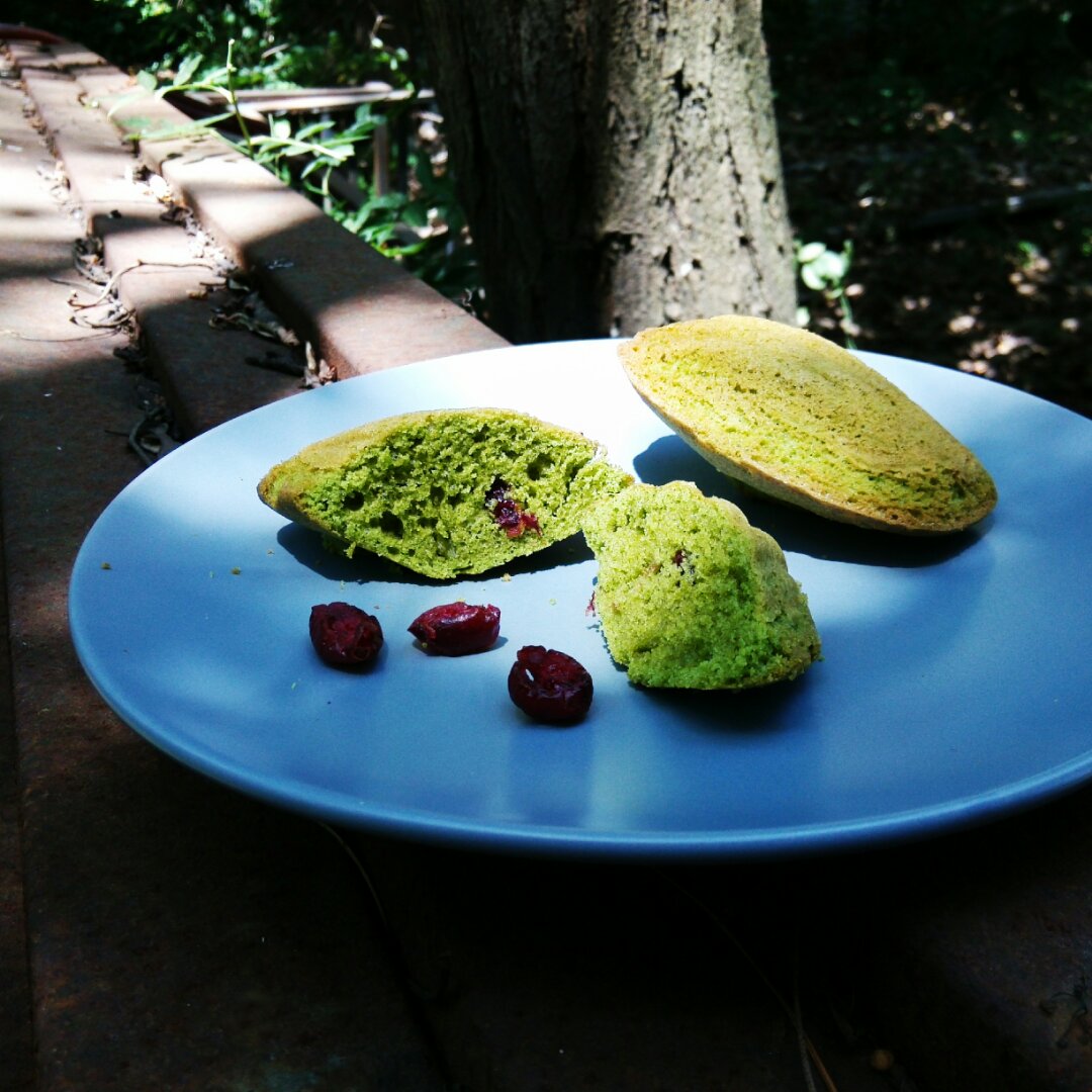 爱弥做的抹茶玛德琳