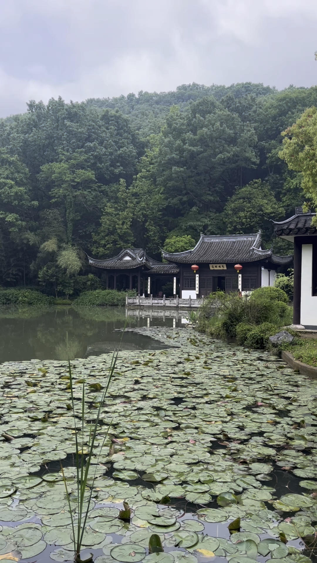 下午茶•2026年5月3日