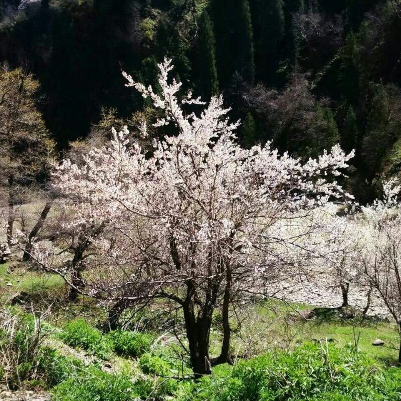 芸儿Y615815919