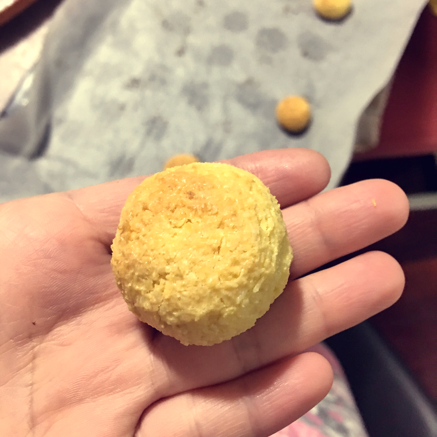 宝宝零食～椰蓉球