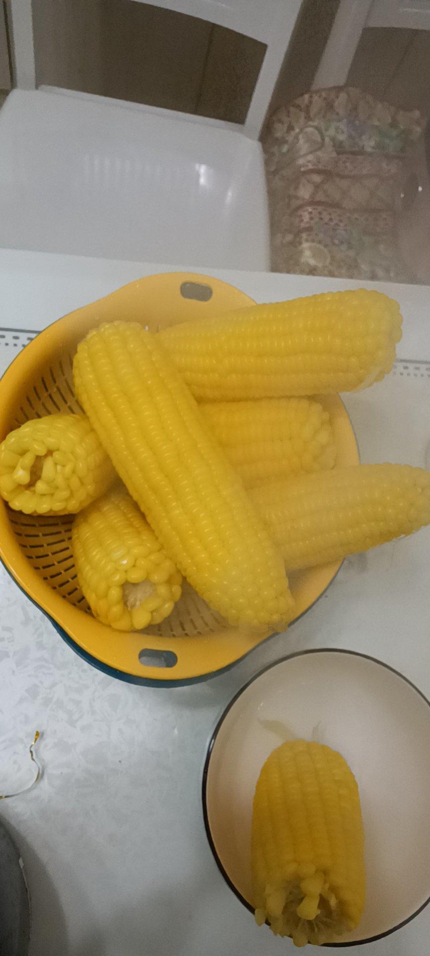 小段媳妇儿做的清煮甜玉米