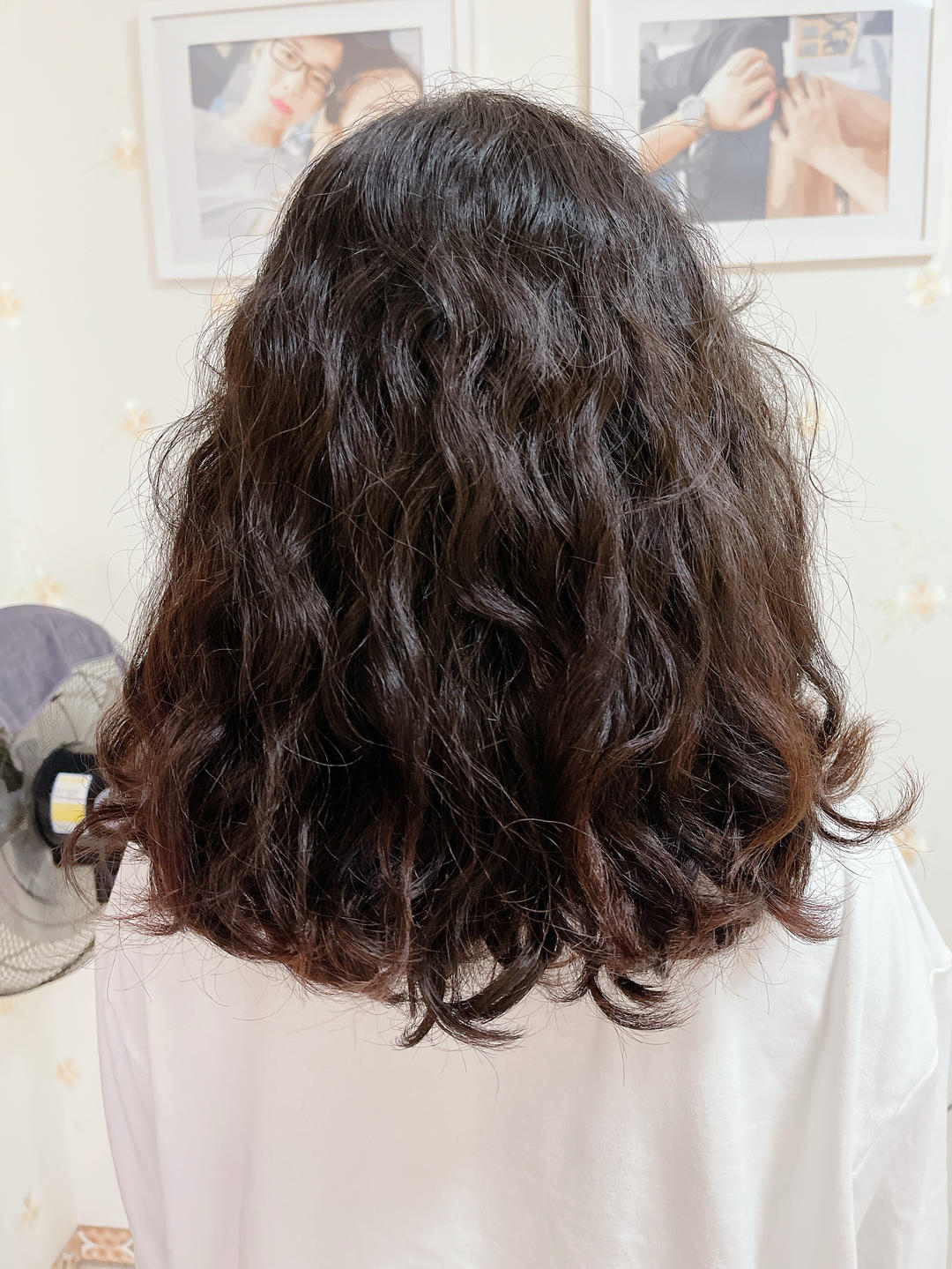 新手菜鸟