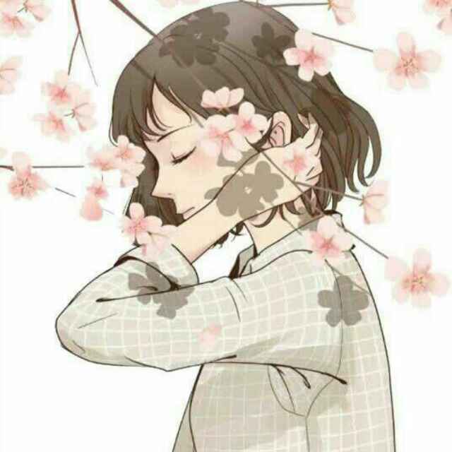 笑晴子
