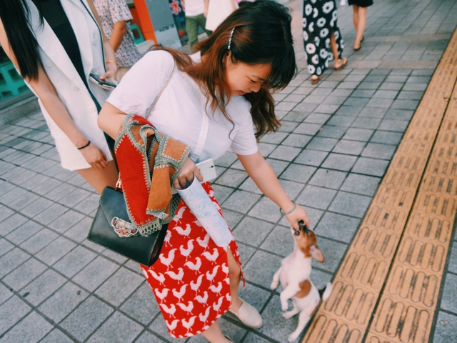 丸子_妹儿