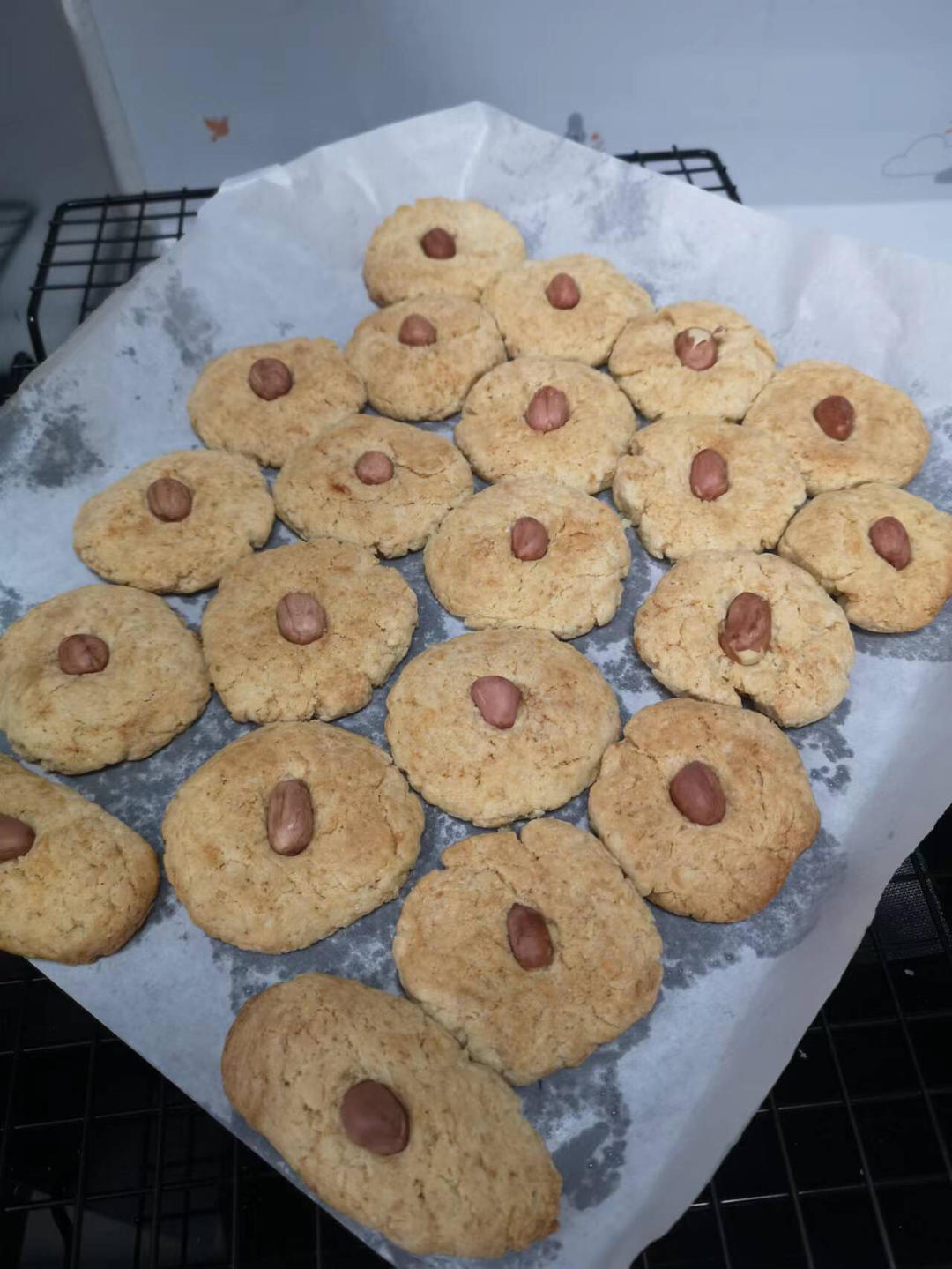 核桃酥 女侠森森