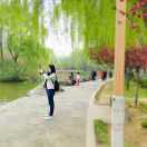 手机用户6227_4t95