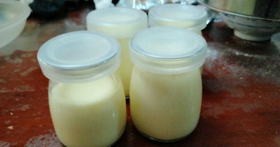 【君酱食谱】0失败 鸡蛋布丁(巨简单版)🍮🍮