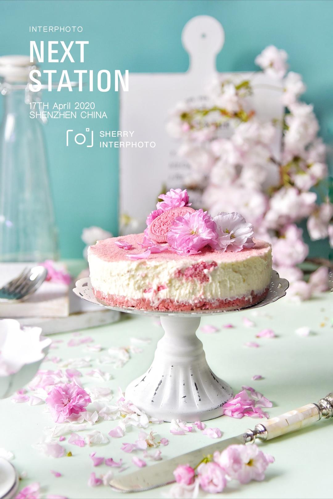 超美的樱花奥利奥芝士蛋糕