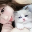 牛甜甜