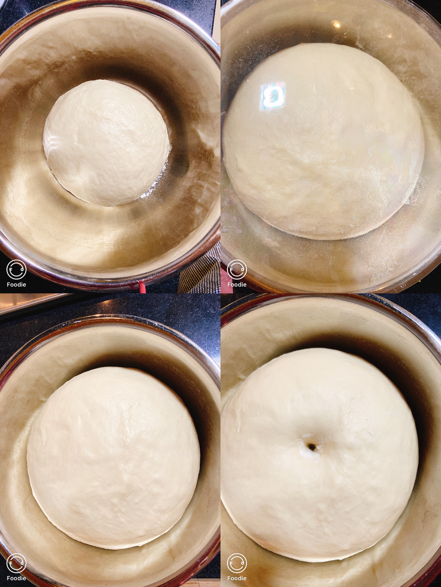 红豆椰蓉面包的做法 步骤4