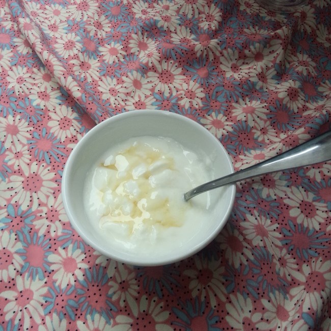小熊酸奶机自制酸奶