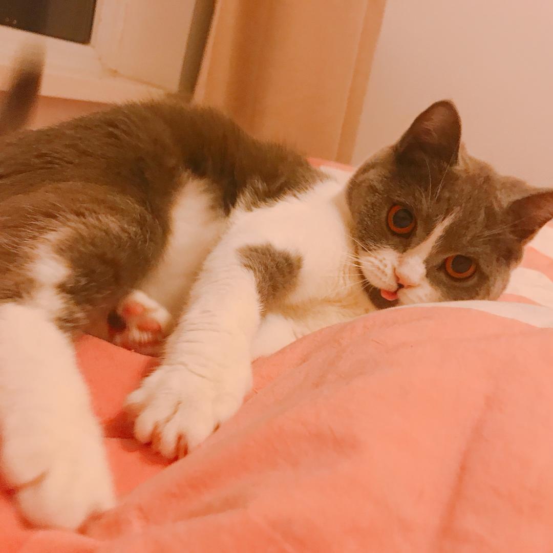 孙煤球的逆袭大计