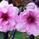 爱上做饭的自己