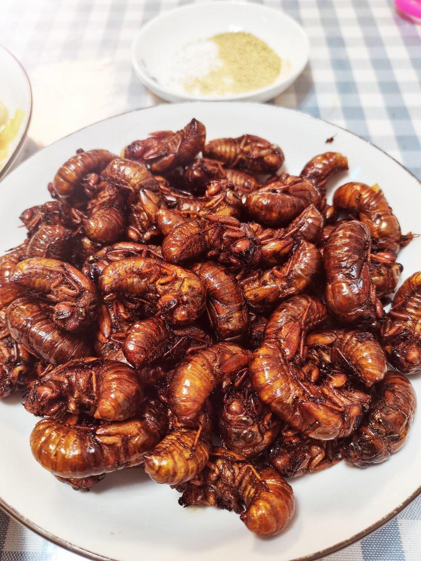 【油炸金蝉】夏天最吵闹的它，居然是上等美味！