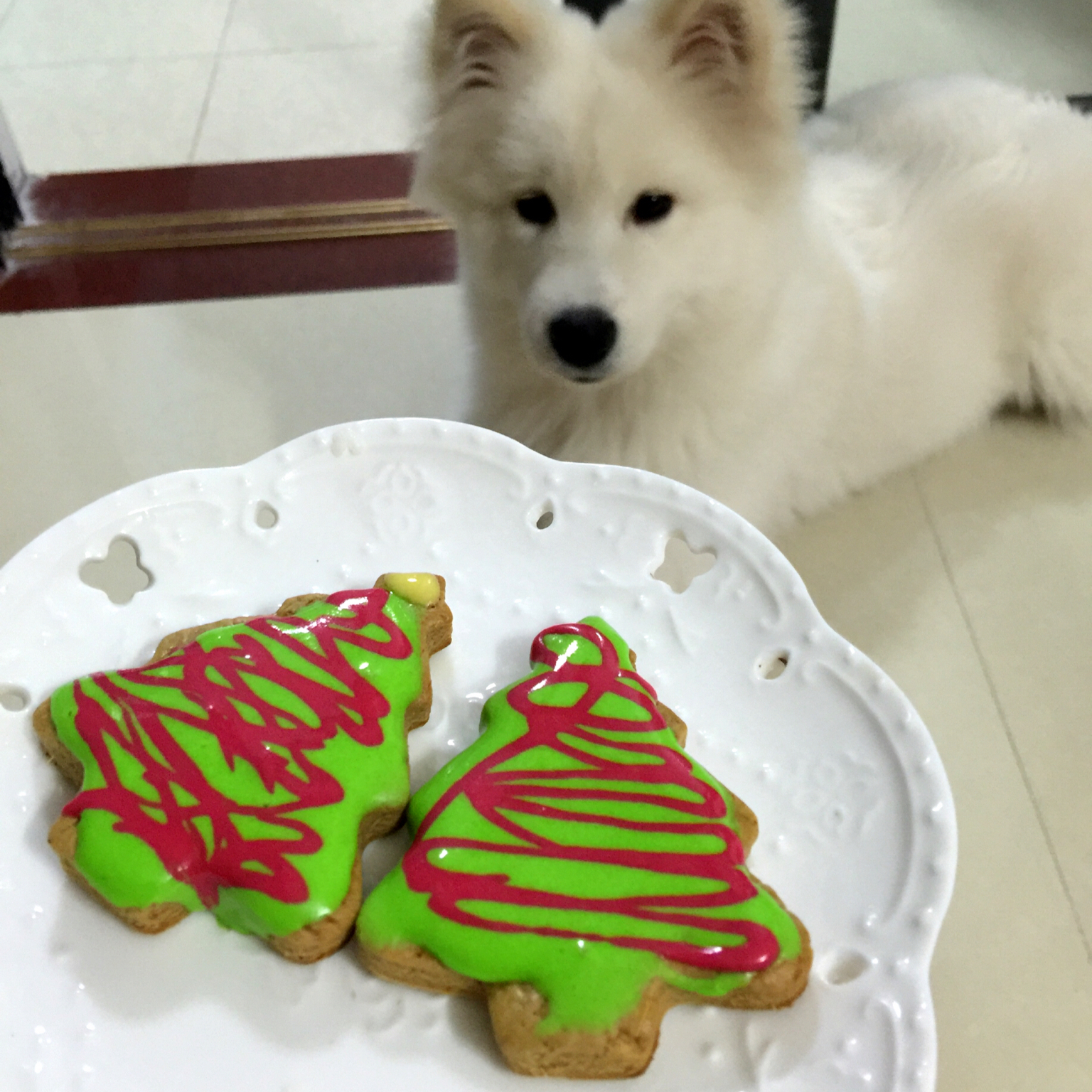 圣诞姜饼