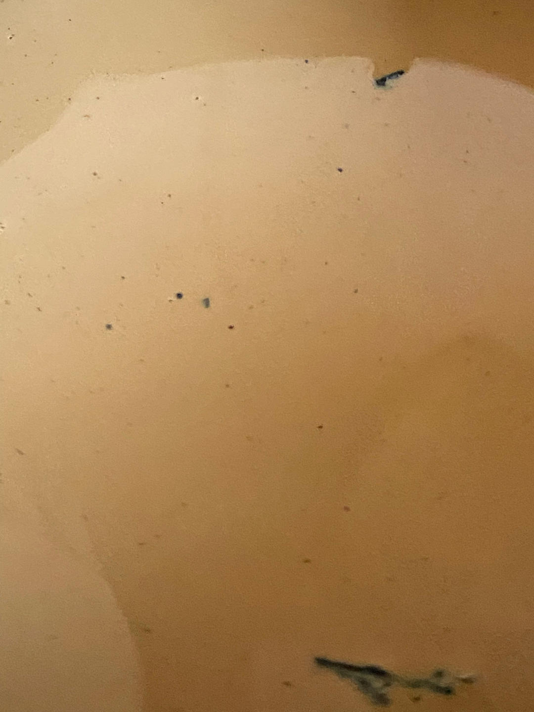 健康好喝又简单的自制奶茶