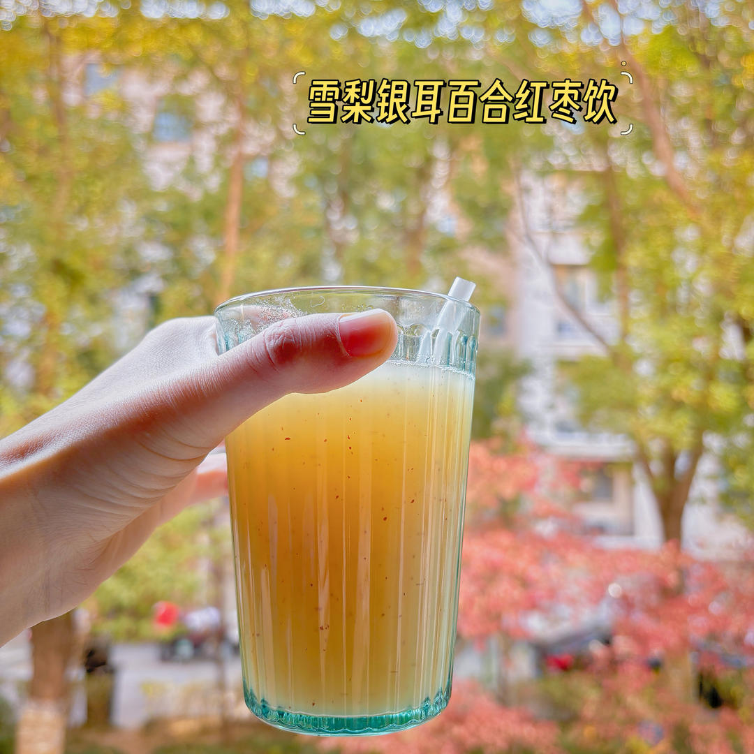 破壁机版百合银耳雪梨红枣