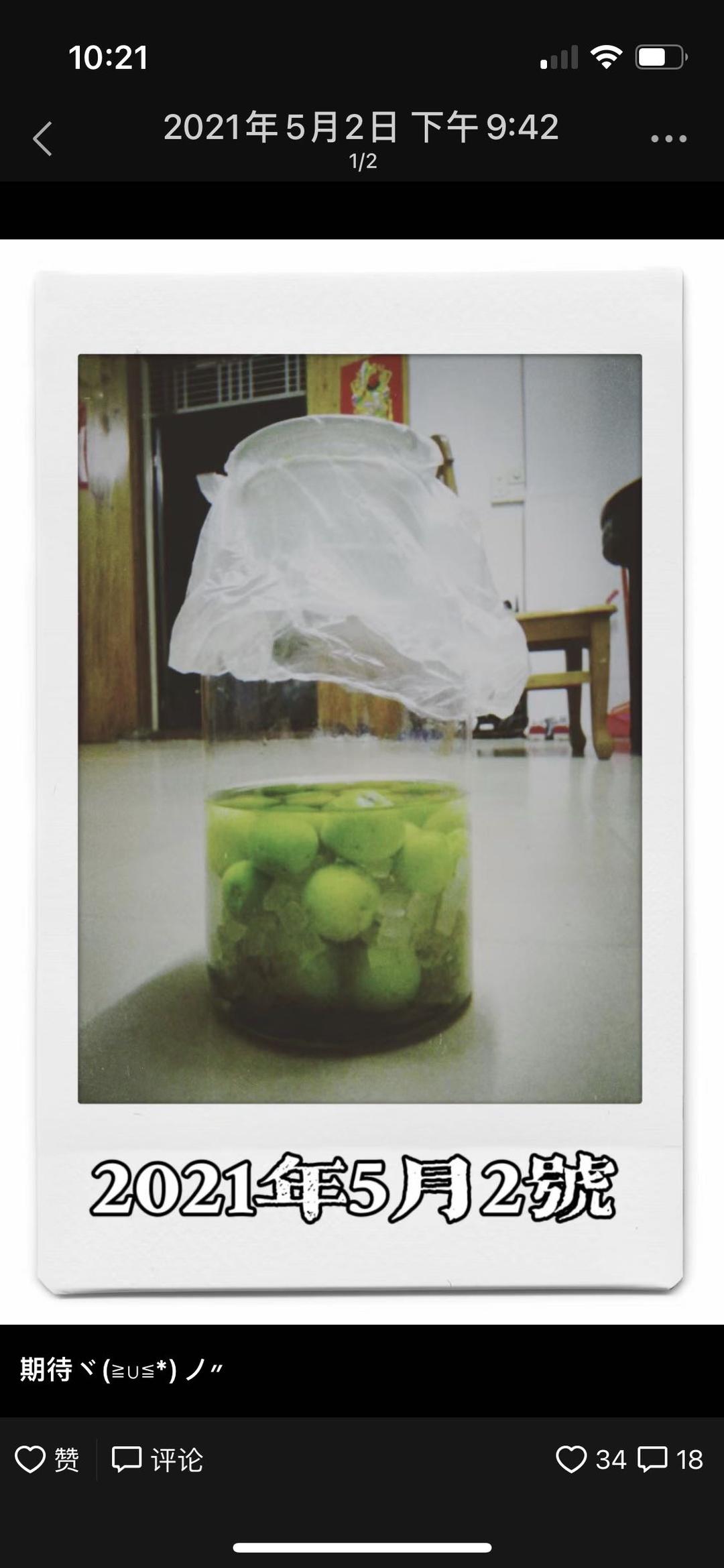 【青梅酒】梅子的沉醉时光（已填坑）