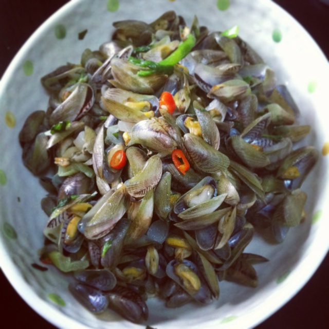 金不换炒薄壳