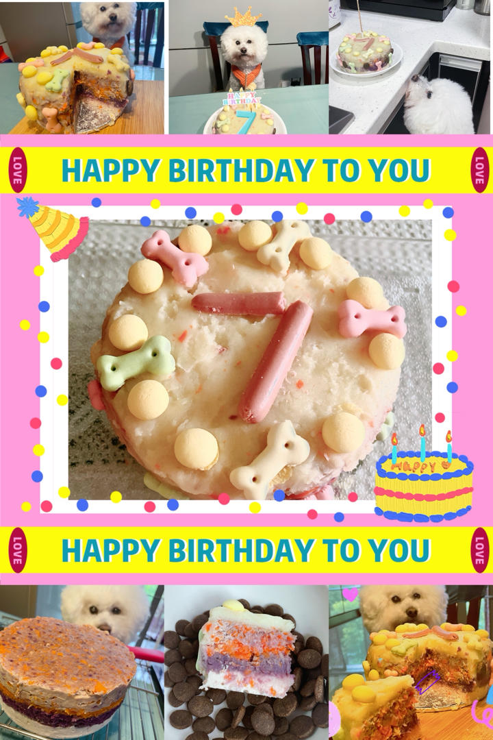 宠物蛋糕 狗狗蛋糕