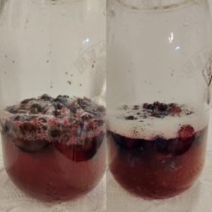 天然酵种·蓝莓酵液/酵种的做法 步骤6