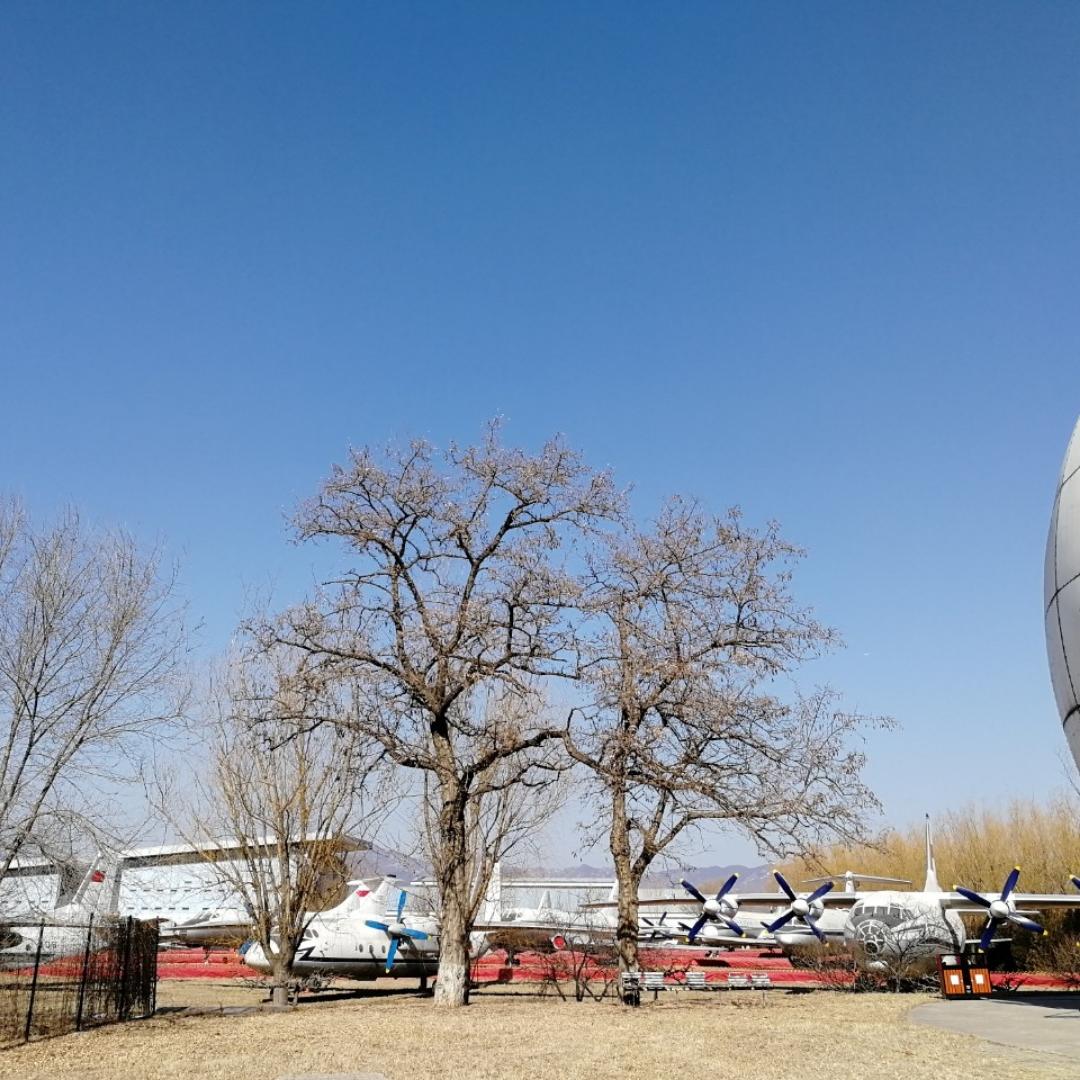 12手机用户0998_1ucw