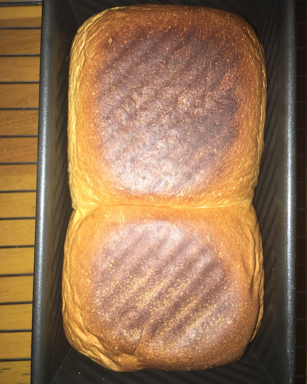 用烤箱自己做面包--手工牛奶吐司面包