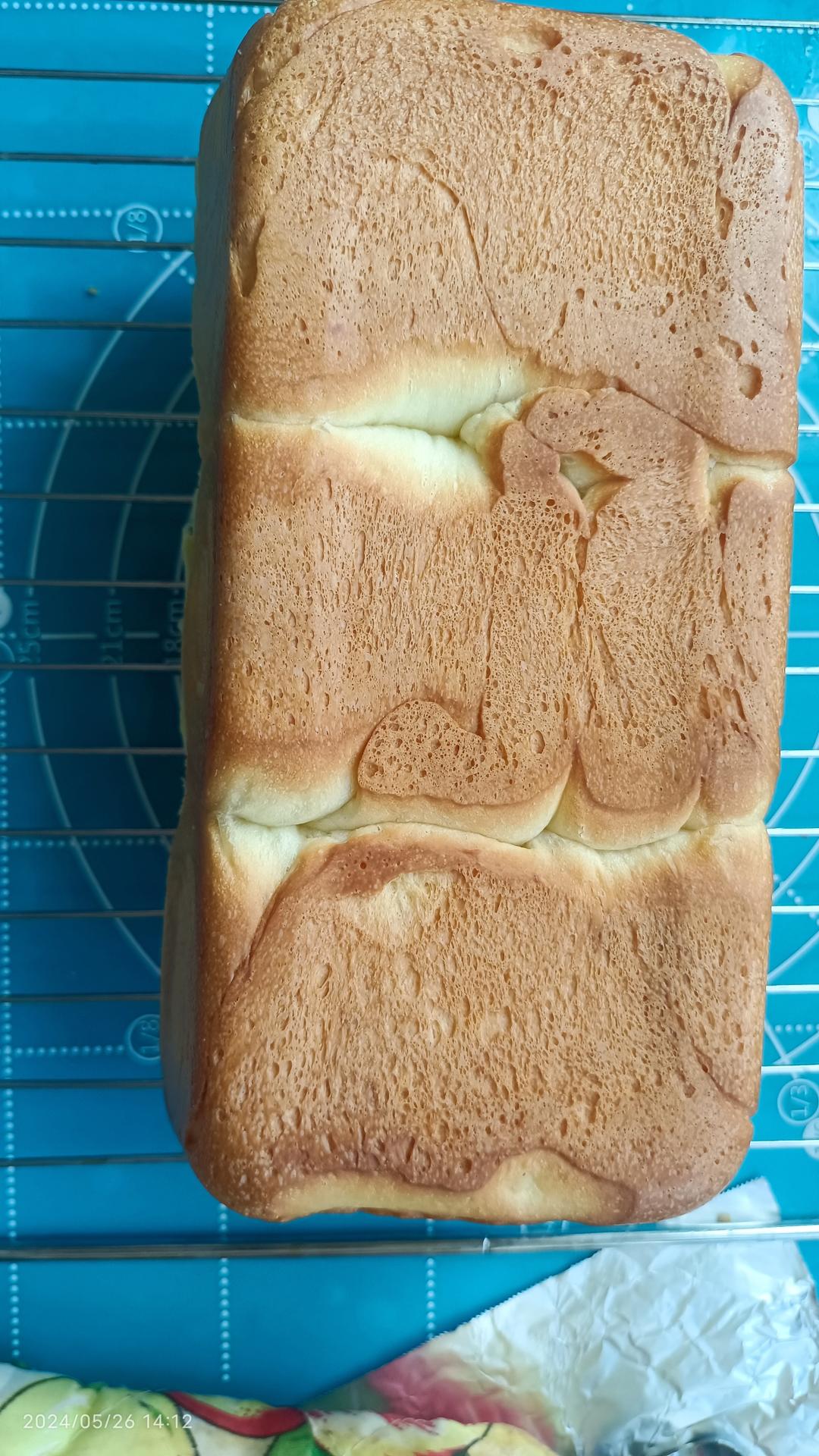 做一次就成功的牛奶吐司面包（手和面揉出手套膜）最后附全麦吐司