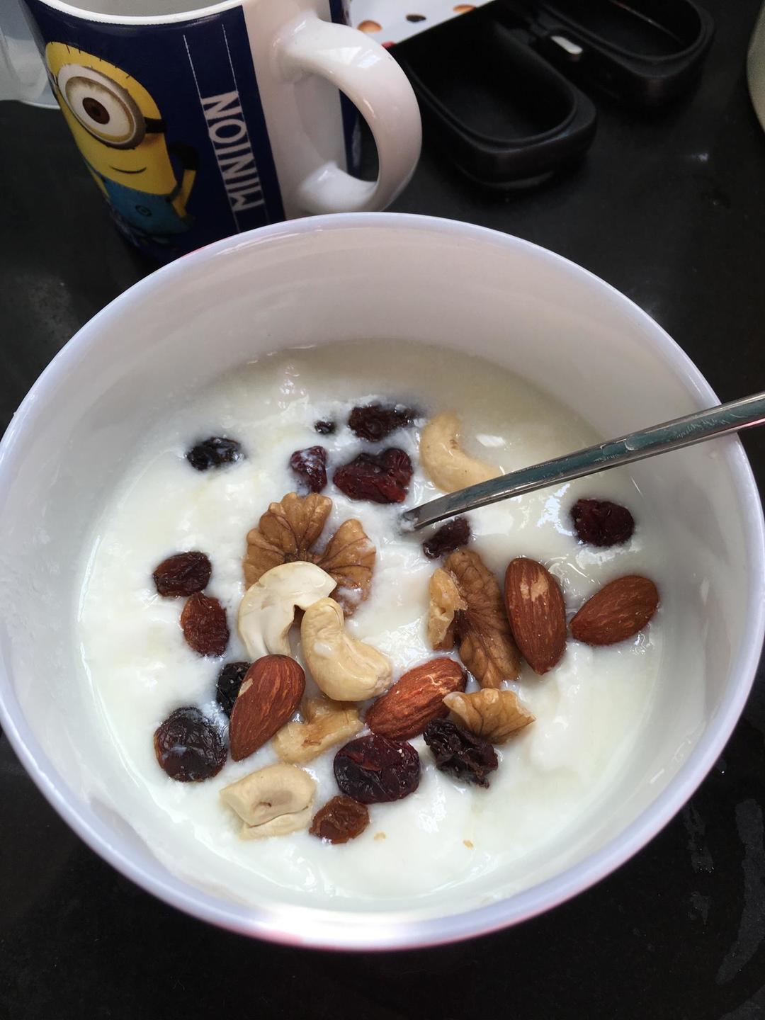 自制蔓越莓坚果酸奶