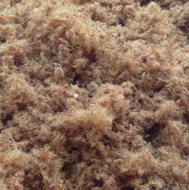 面包机自制肉松