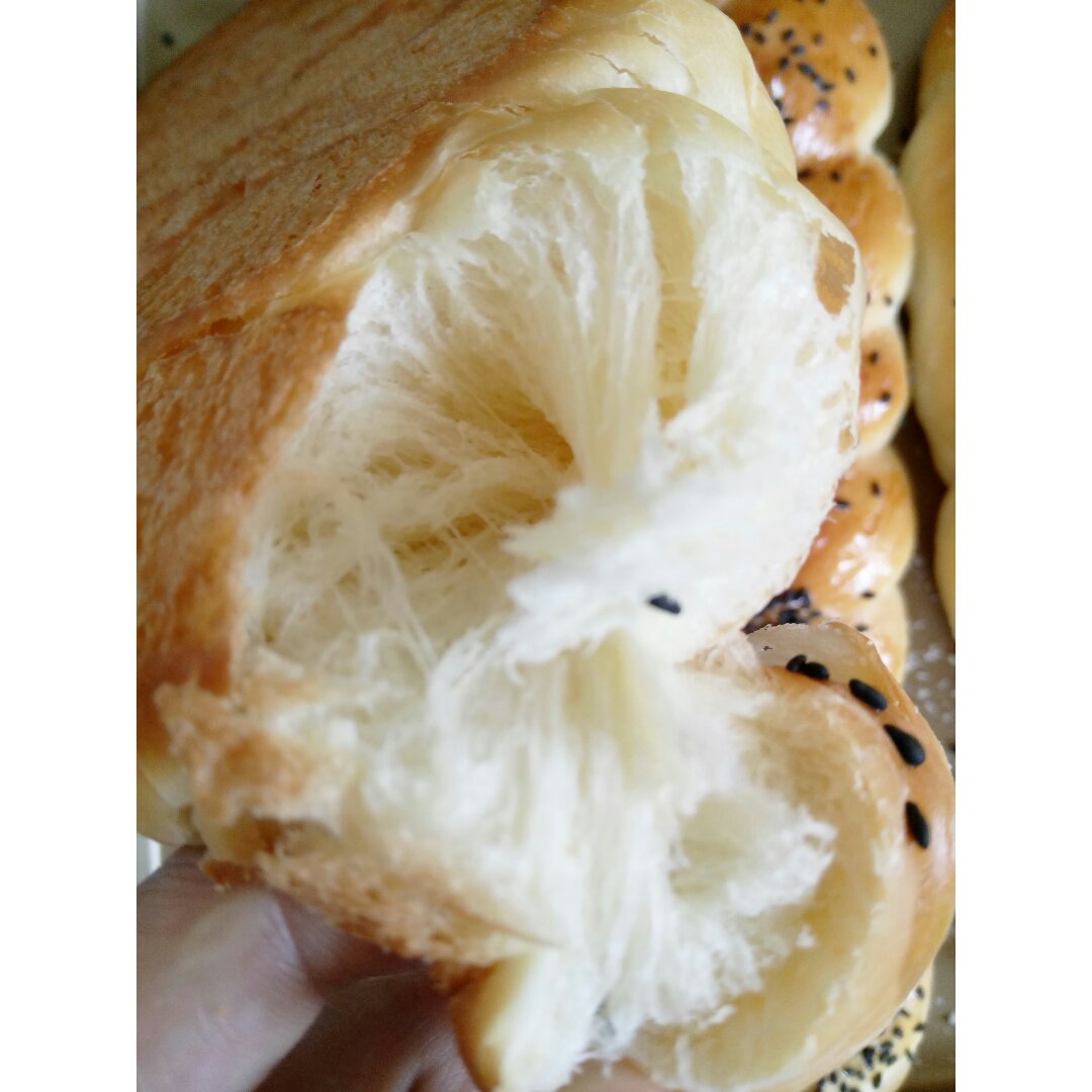 酸奶辫子面包（一次发酵）