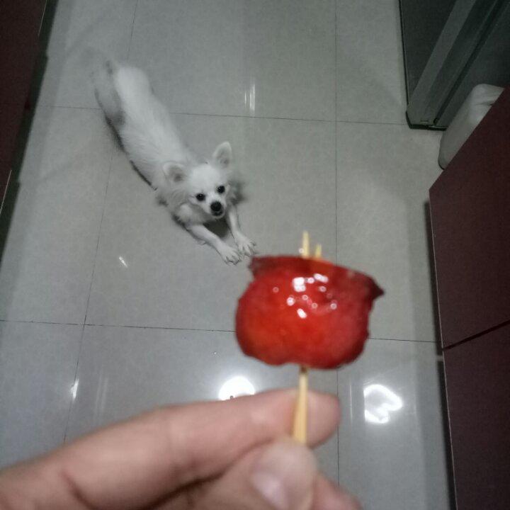 冰糖葫芦
