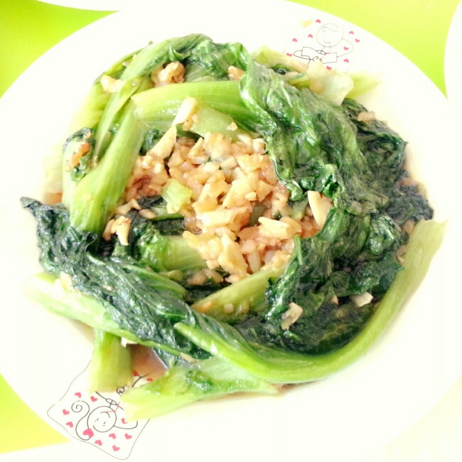耗油生菜