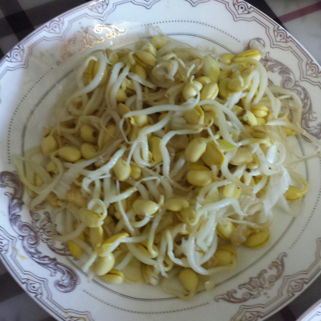 凉拌黄豆芽