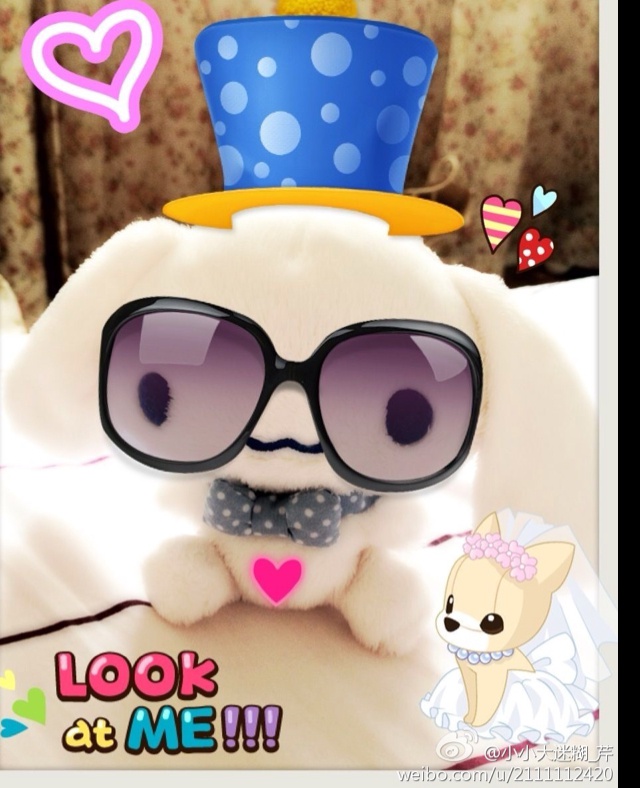 就是愛次爱茜茜里滴小小大迷糊