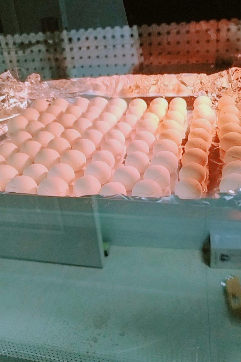 堪比旺仔小馒头