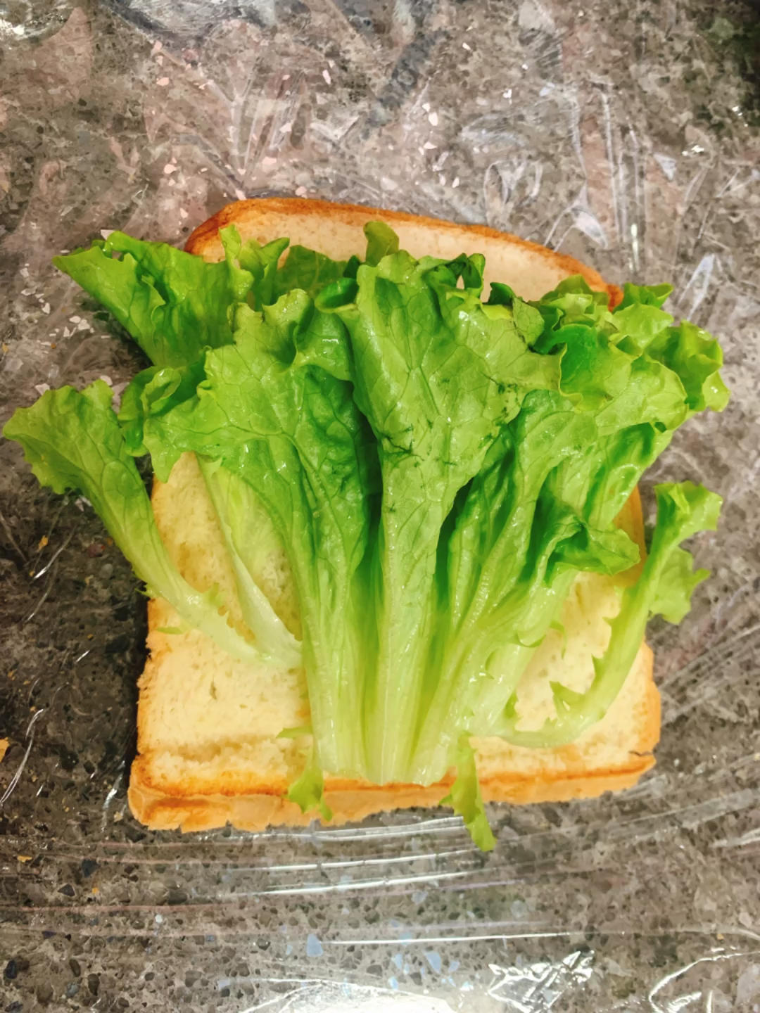 三明治Sandwich持续更新ing