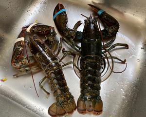 🧀️平底锅版本芝士焗龙虾🦞的做法 步骤1