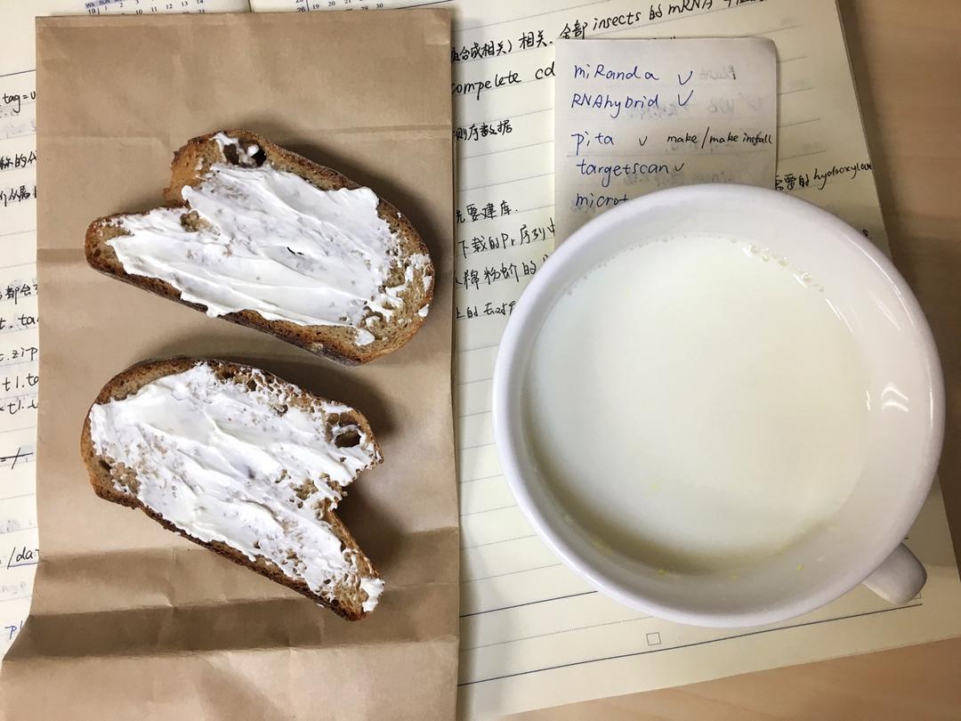 有关减肉肉期吃的食物🥛