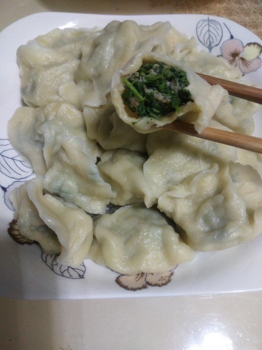 荠菜鲜肉饺子