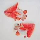 手机用户6507_mu73