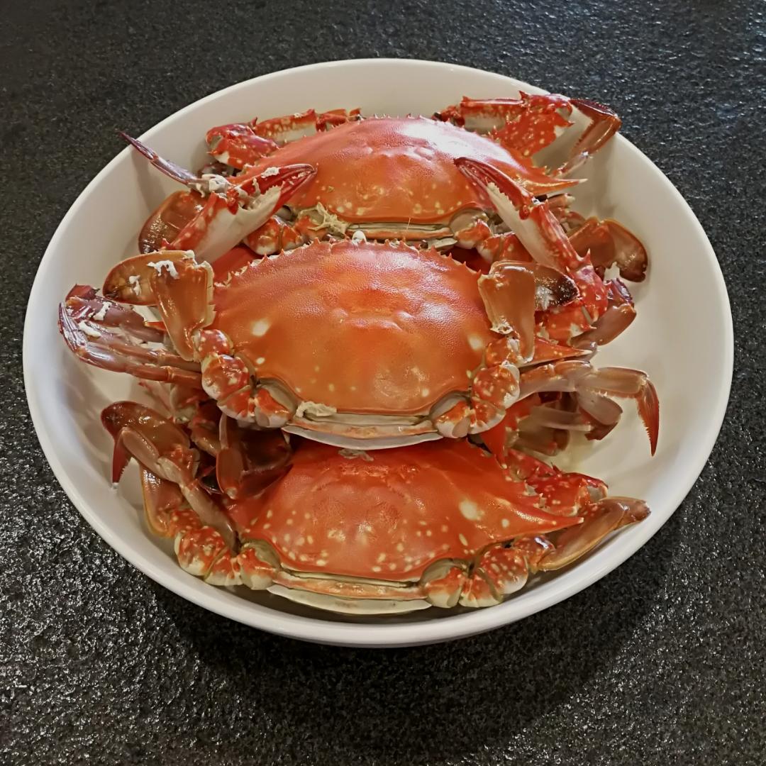 清蒸梭子蟹