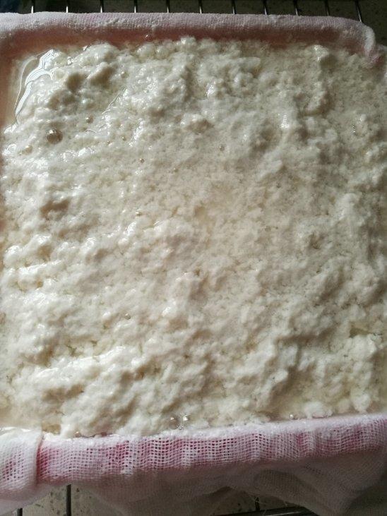 自制豆腐
