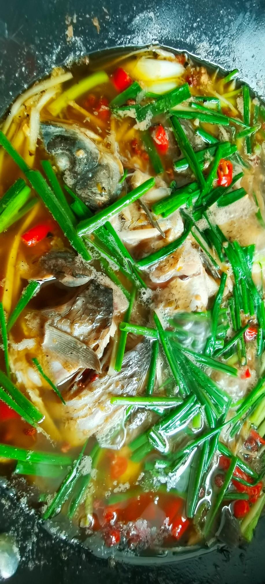 自贡葱葱鲫鱼图片