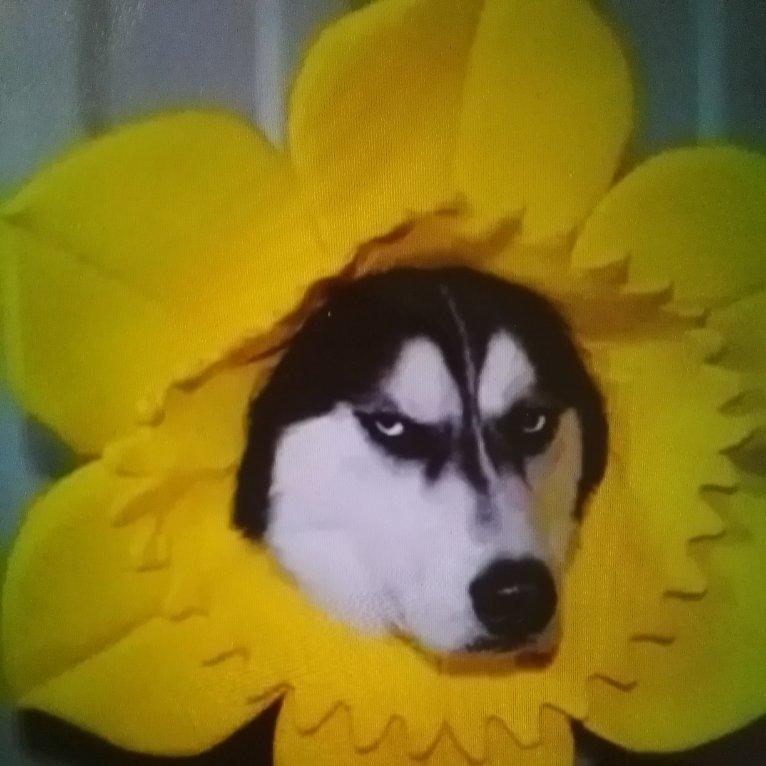 请勿进入该菜谱