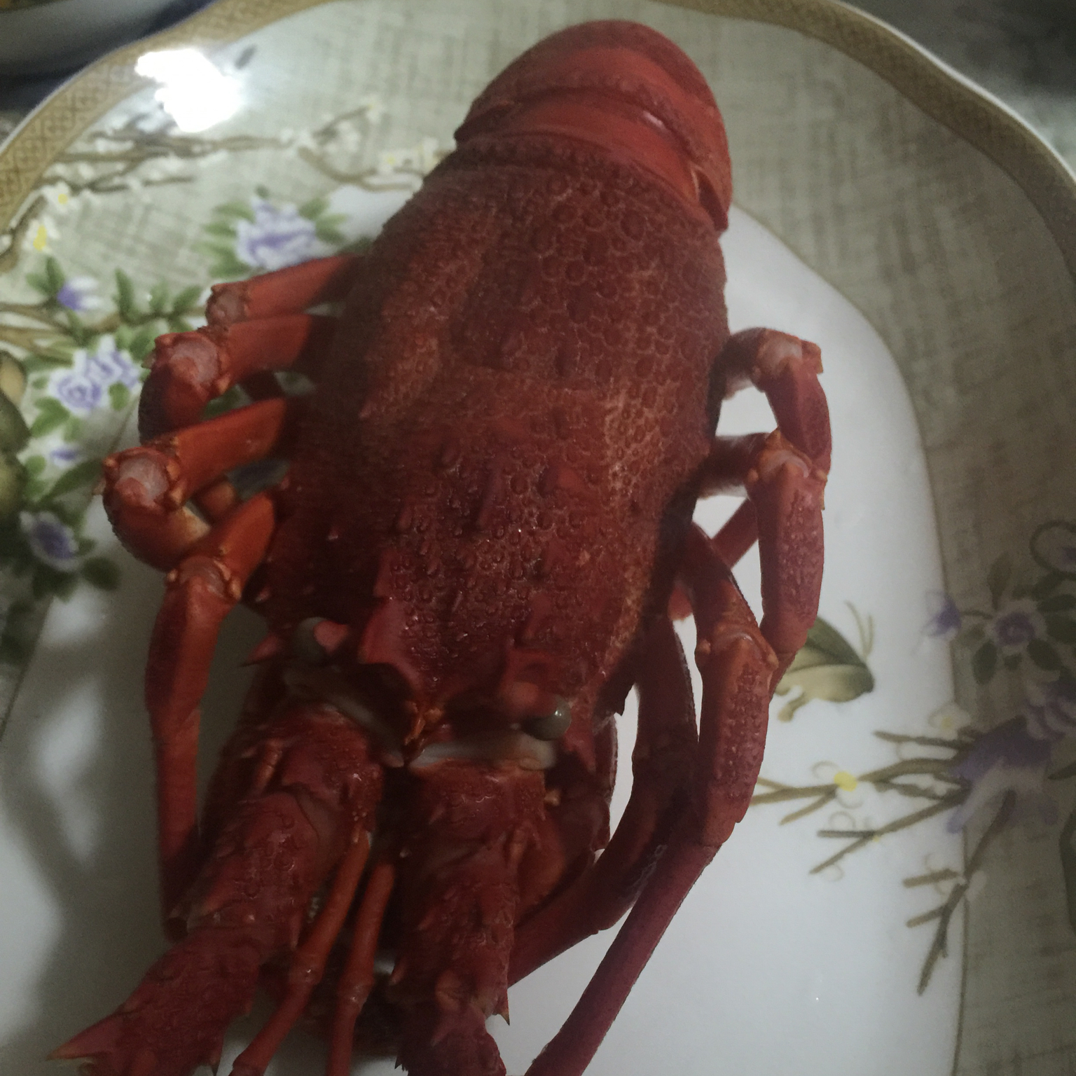 辣烤及蒜烤澳龙